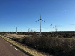 VESTAS V29 – Wind Turbines – 10+ Units