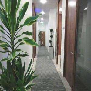 MWPS-Office-10-Victoria-Road-e